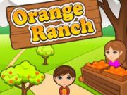 MĂ€ng OranĆŸi rantĆĄo Internetis MĂ€ng OranĆŸi rantĆĄo Internetis
