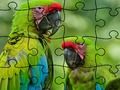 Mäng Jigsaw Puzzle vihmametsa  Internetis