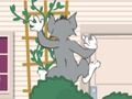 MĂ€ng Tom ja Jerry: Wasserbomben Wahnsinn Internetis MĂ€ng Tom ja Jerry: Wasserbomben Wahnsinn Internetis
