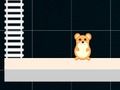 Mäng Nutikas hamster: paaris ja paaritu  Internetis