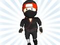 Mäng Nano ninja Internetis