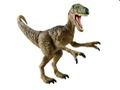 Mäng Dinosauruse mälu väljakutse  Internetis