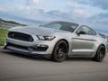 Mäng Mustang Shelby mõistatus  Internetis