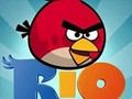 Mäng Kurja lindu Rio Internetis