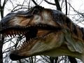 Mäng T-Rexi dinosauruste pusle  Internetis