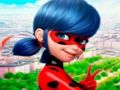Mäng Jigsaw puzzle kollektsioon LadyBug  Internetis