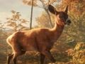 Mäng Safari džiibiparkla sim: džungliseiklus  Internetis