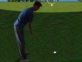 Mäng Flash Golf 3D  Internetis