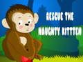 Mäng Päästke naughty kassipoeg  Internetis