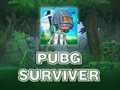 Mäng PUBG ellujääja  Internetis
