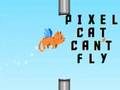 Mäng Pixeli kass ei saa lennata  Internetis