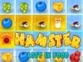 Mäng Hamster toidust kadunud  Internetis