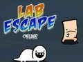 Mäng Lab Escape võrgus  Internetis
