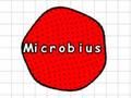 Mäng Mikroobius  Internetis