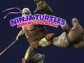 Mäng Ninja Turtles Mälukaardi vaste  Internetis