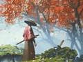 Mäng Samurai peegeldus  Internetis