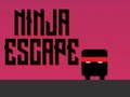 Mäng Ninja põgenemine  Internetis