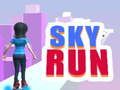 Mäng Sky Run Internetis