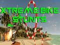 Mäng Xtreme Bike trikid Internetis
