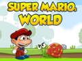 Mäng Super Mariose maailm  Internetis