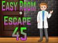 Mäng Amgel Easy Room Escape 45 Internetis