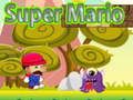 Mäng Super mario Internetis