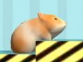 Mäng Hamster Kinnitamiseks  Internetis