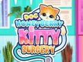 Mäng Doc HoneyBerry Kitty kirurgia  Internetis