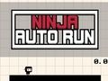 Mäng Ninja Auto Run Internetis