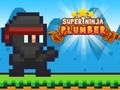 Mäng Super Ninja torumees  Internetis