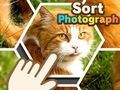 Mäng Sorteeri foto  Internetis