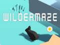Mäng Wildermaze Internetis