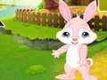 Mäng Otsige üles The Buddy Rabbit  Internetis