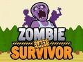 Mäng Zombie viimane ellujääja  Internetis