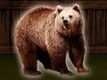 Mäng Päästke Grizzly Bear  Internetis