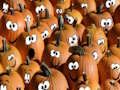 Mäng Halloweeni pusle  Internetis