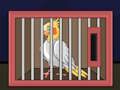 Mäng Vabastage The Cockatiel Bird  Internetis