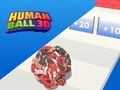 Mäng Inimpall 3d  Internetis