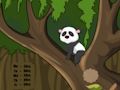 Mäng Panda džungli põgenemine  Internetis
