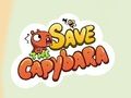 Mäng Päästke Capybara  Internetis