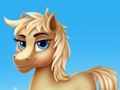 Mäng Ponyville'i seiklus "Suur ükssarviku ärkamine".  Internetis