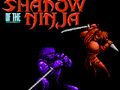 Mäng Ninja vari  Internetis