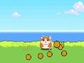 Mäng Hamster Kombat Clicker Internetis