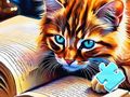 Mäng Pusle: kassilugemine  Internetis
