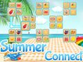 Mäng Summer Connect Internetis