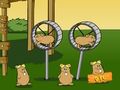 Mäng Codename Kids Next Door hamstrite lend  Internetis