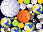Mäng Spordiliit  Internetis