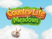 MĂ€ng Maaelu Meadows Internetis MĂ€ng Maaelu Meadows Internetis