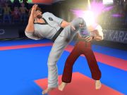 Mäng Karate võitleja  Internetis