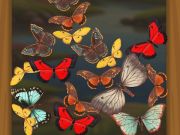 Mäng Ühendage Butterfly  Internetis